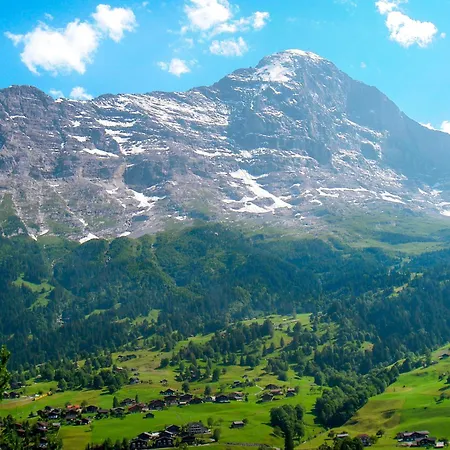 Almis-boedeli-2 By Interhome * Γκρίντελβαλντ