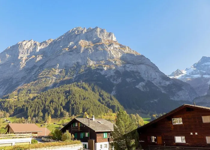 Almis-boedeli-2 By Interhome * Grindelwald