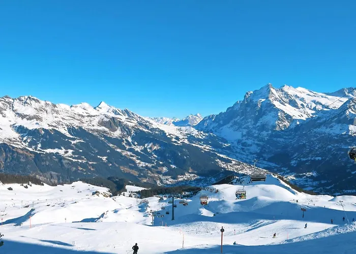 Apartman Almis-boedeli-2 By Interhome Grindelwald