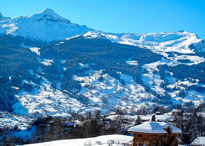 Almis-boedeli-2 By Interhome Apartment